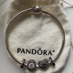Pandora Moments Bangle Bracelet